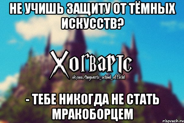 не учишь защиту от тёмных искусств? - тебе никогда не стать мракоборцем, Мем Хогвартс