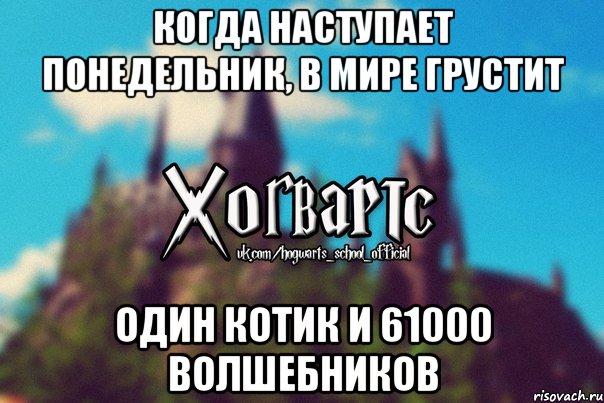 Когда наступает понедельник, в мире грустит один котик и 61000 волшебников, Мем Хогвартс