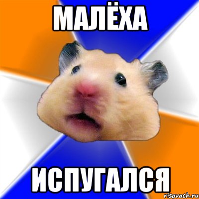 малёха испугался, Мем Хомяк