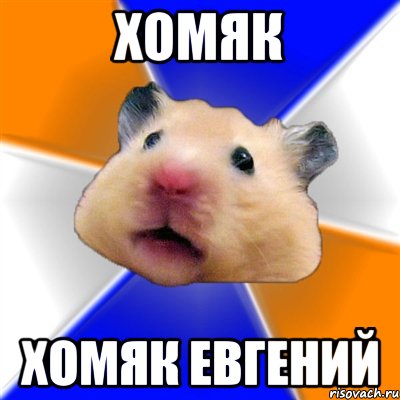 хомяк хомяк евгений, Мем Хомяк