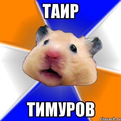 Таир Тимуров, Мем Хомяк