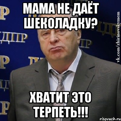 Мама не даёт шеколадку? ХВАТИТ ЭТО ТЕРПЕТЬ!!!, Мем Хватит это терпеть (Жириновский)