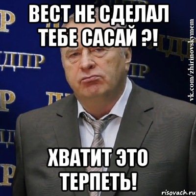 ВЕСТ НЕ СДЕЛАЛ ТЕБЕ САСАЙ ?! ХВАТИТ ЭТО ТЕРПЕТЬ!, Мем Хватит это терпеть (Жириновский)