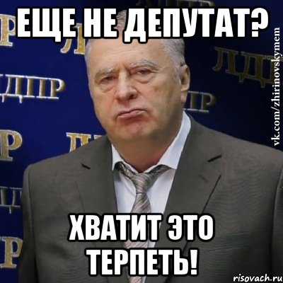 Еще не депутат? Хватит это терпеть!, Мем Хватит это терпеть (Жириновский)