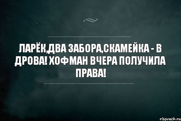 Ларёк,два забора,скамейка - в дрова! Хофман вчера получила права!, Комикс Игра Слов