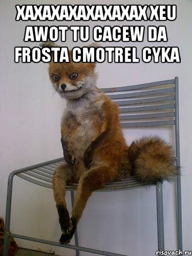 XAXAXAXAXAXAXAX XEU AWOT TU CACEW DA FROSTA CMOTREL CYKA , Мем Упоротая лиса