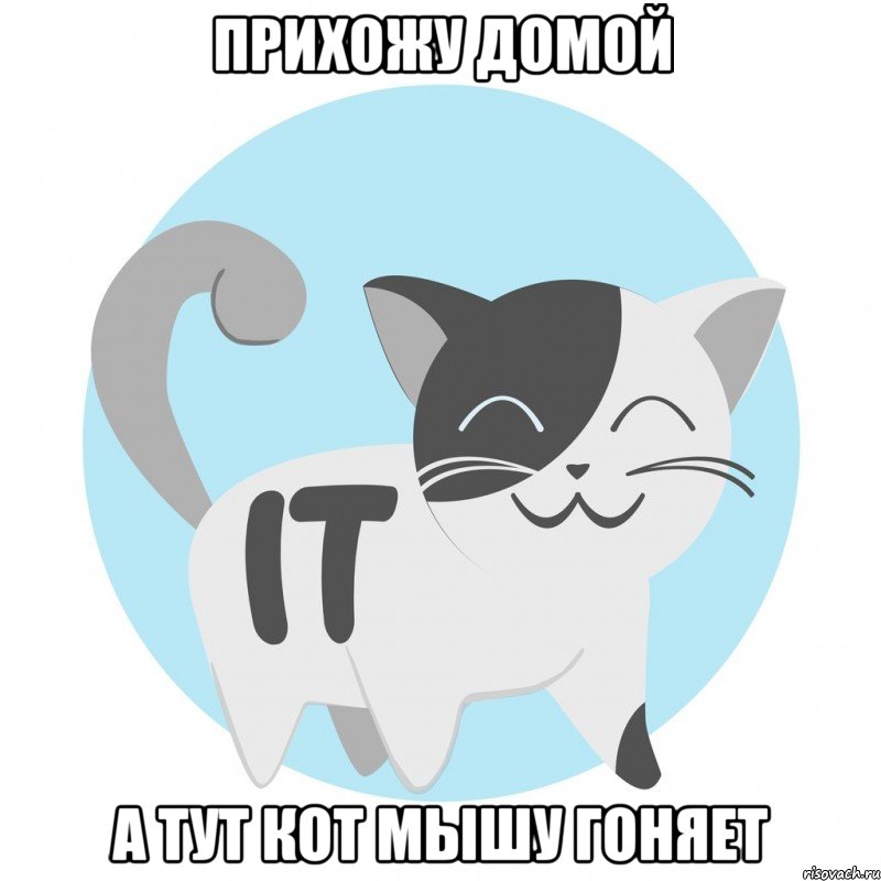 Прихожу домой А тут кот мышу гоняет