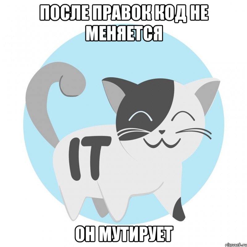 после правок код не меняется он мутирует, Мем IT-Кот