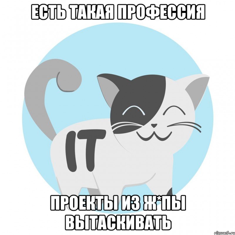 есть такая профессия проекты из ж*пы вытаскивать