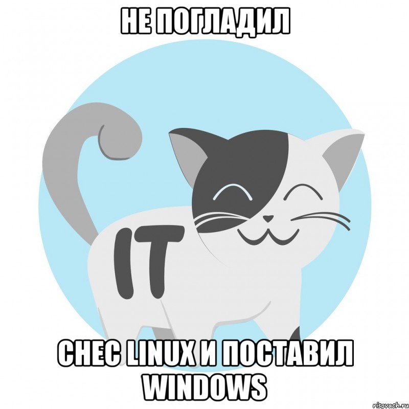 Не погладил Снес Linux и поставил Windows