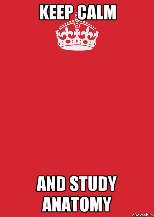 KEEP CALM AND STUDY ANATOMY, Комикс Keep Calm 3