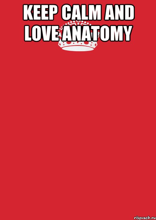 KEEP CALM AND LOVE ANATOMY , Комикс Keep Calm 3