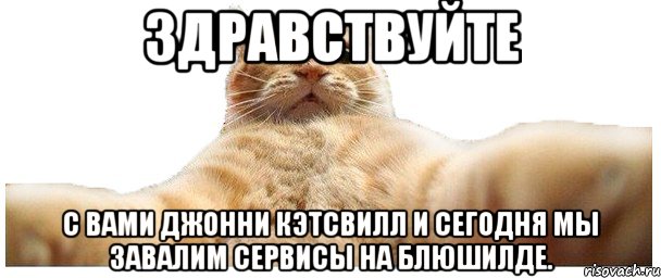 Здравствуйте с вами джонни кэтсвилл и сегодня мы завалим сервисы на Блюшилде., Мем   Кэтсвилл