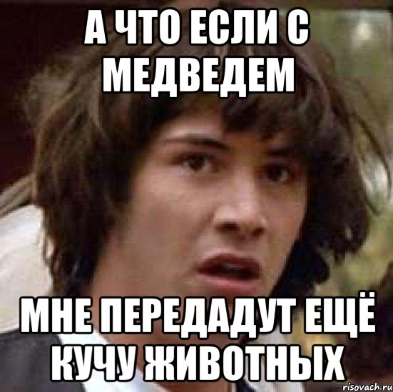 а что если с медведем мне передадут ещё кучу животных, Мем А что если (Киану Ривз)