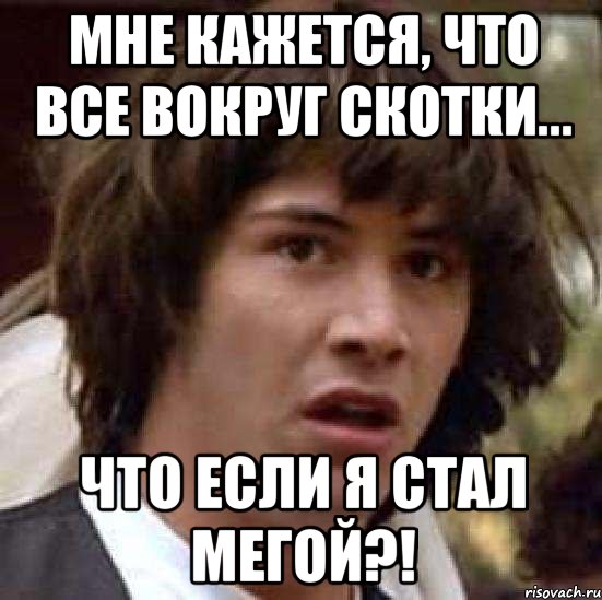 мне кажется, что все вокруг скотки... что если я стал мегой?!, Мем А что если (Киану Ривз)