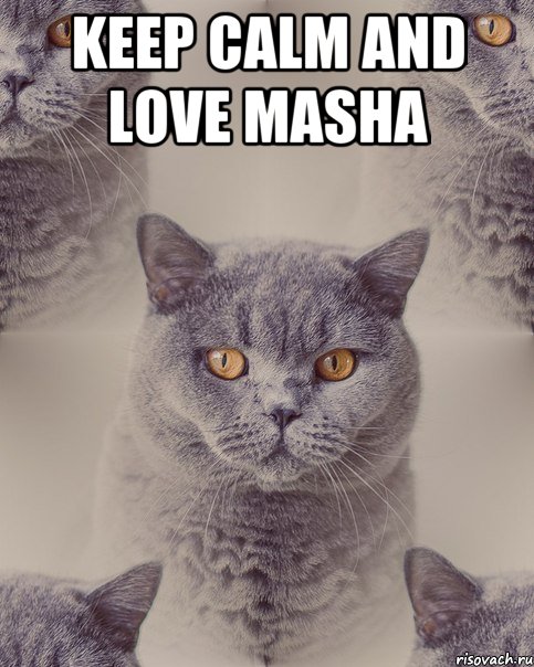 KEEP CALM AND LOVE MASHA 