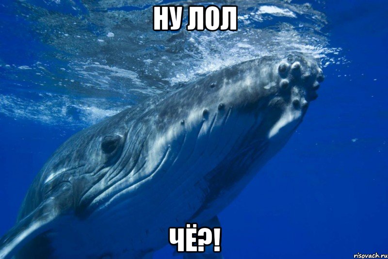 Ну лол чё?!