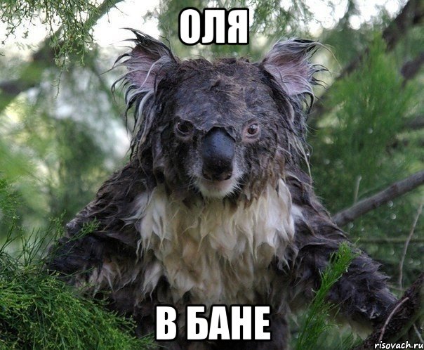 оля в бане
