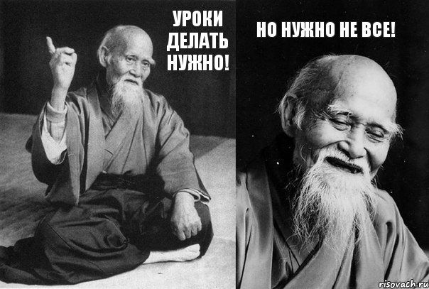 Уроки делать нужно! Но нужно не все!, Комикс Мудрец-монах (2 зоны)