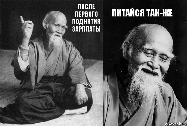 после первого поднятия зарплаты питайся так-же, Комикс Мудрец-монах (2 зоны)