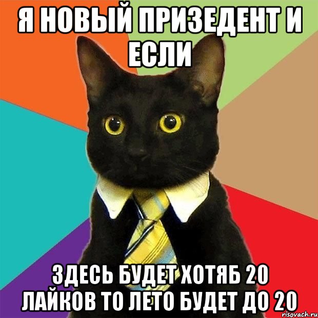 Я НОВЫЙ ПРИЗЕДЕНТ И ЕСЛИ ЗДЕСЬ БУДЕТ ХОТЯБ 20 ЛАЙКОВ ТО ЛЕТО БУДЕТ ДО 20, Мем  Кошечка