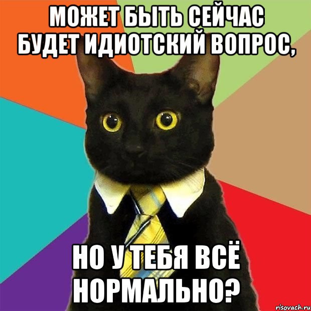 Может быть сейчас будет идиотский вопрос, но у тебя всё нормально?, Мем  Кошечка