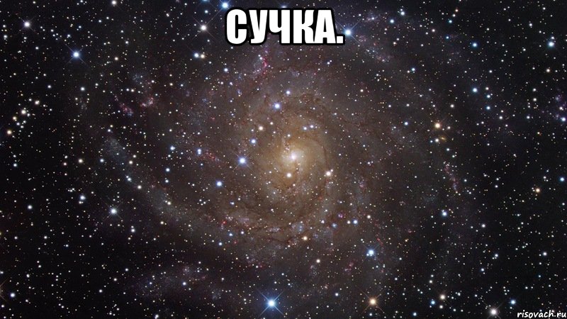 Сучка. , Мем  Космос (офигенно)