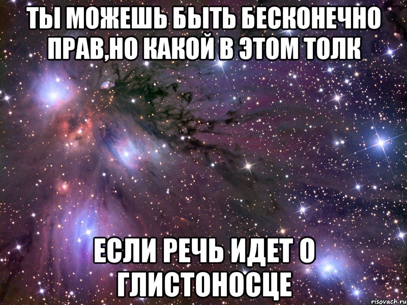 ты можешь быть бесконечно прав,но какой в этом толк если речь идет о глистоносце, Мем Космос