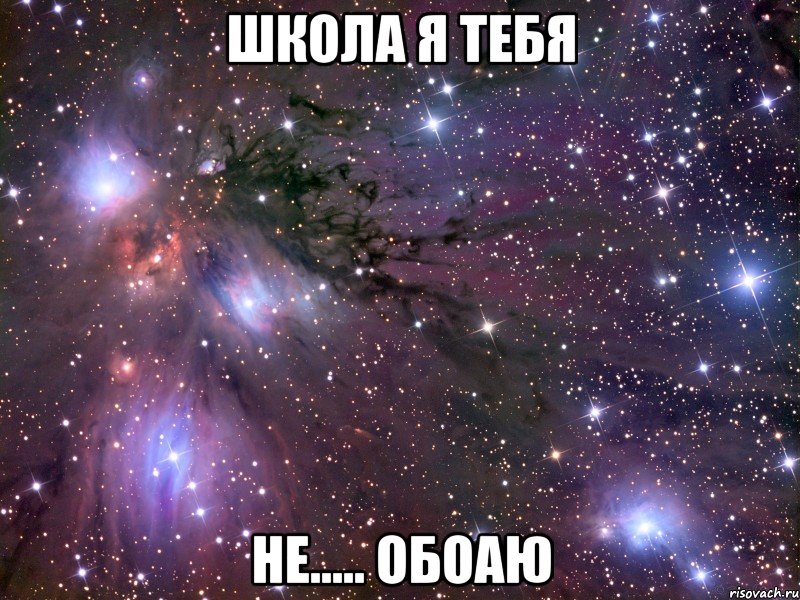 Школа Я тебя Не..... ОБОАЮ, Мем Космос