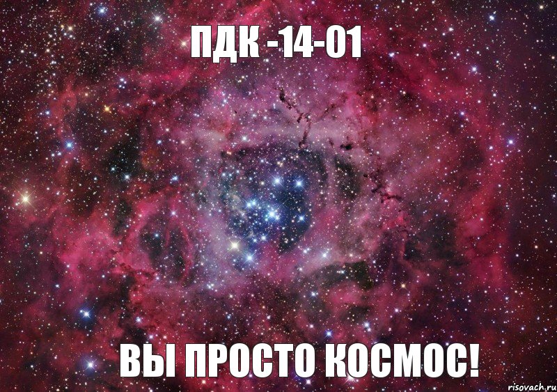 ПДК -14-01 Вы просто космос!, Мем Ты просто космос