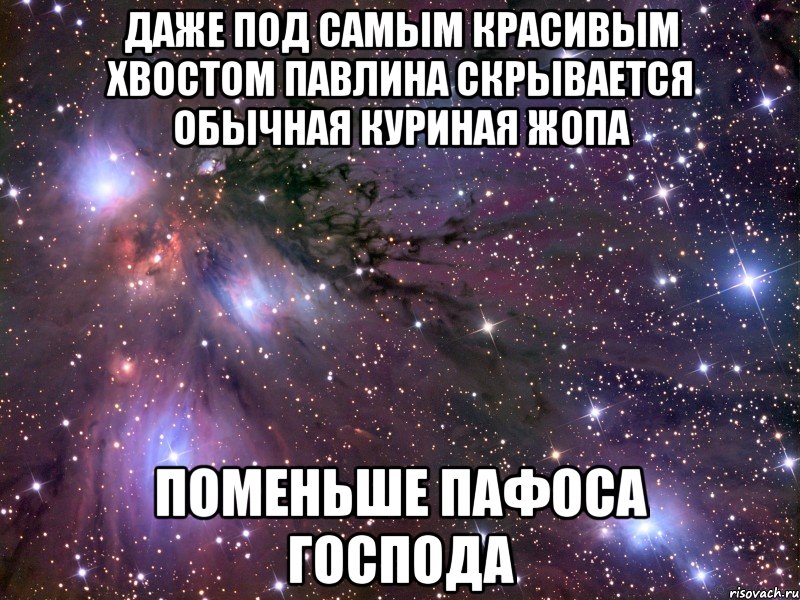 даже под самым красивым хвостом павлина скрывается обычная куриная жопа поменьше пафоса господа, Мем Космос