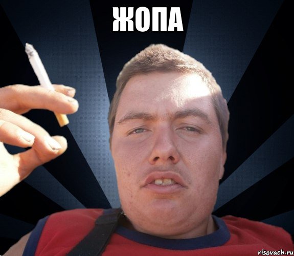 жопа 