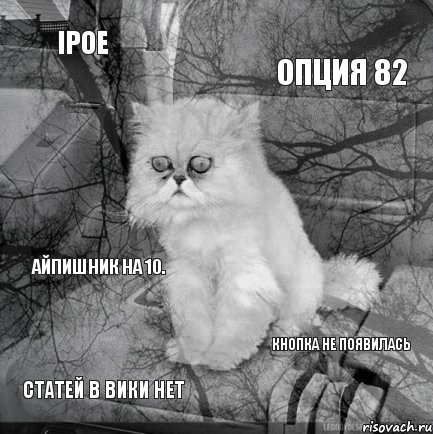 IPoE Опция 82 Статей в вики нет Кнопка не появилась Айпишник на 10., Комикс  кот безысходность