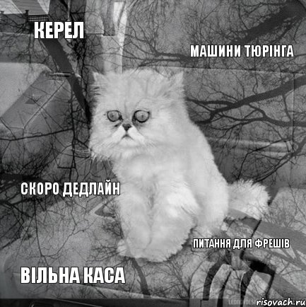 керел машини тюрінга вільна каса питання для фрешів скоро дедлайн, Комикс  кот безысходность