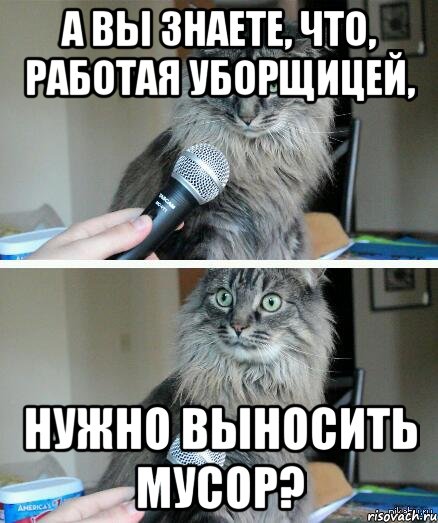 А вы знаете, что, работая уборщицей, нужно выносить мусор?, Комикс  кот с микрофоном