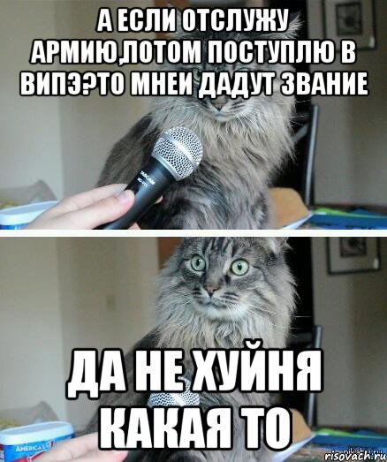 А если отслужу армию,потом поступлю в Випэ?то мнеи дадут звание Да не хуйня какая то, Комикс  кот с микрофоном