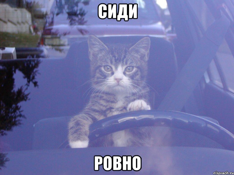 Сиди Ровно