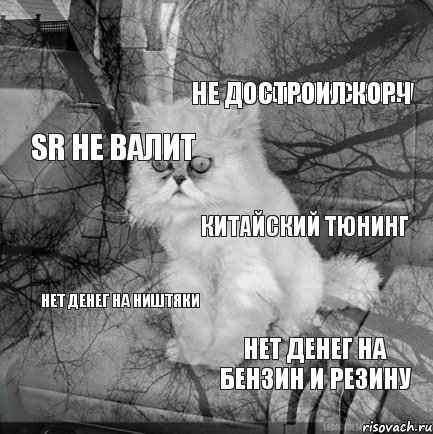 НЕ успел к сезону Не достроил корч SR не валит Китайский тюнинг Нет денег на ништяки Нет денег на бензин и резину, Комикс  кот безысходность