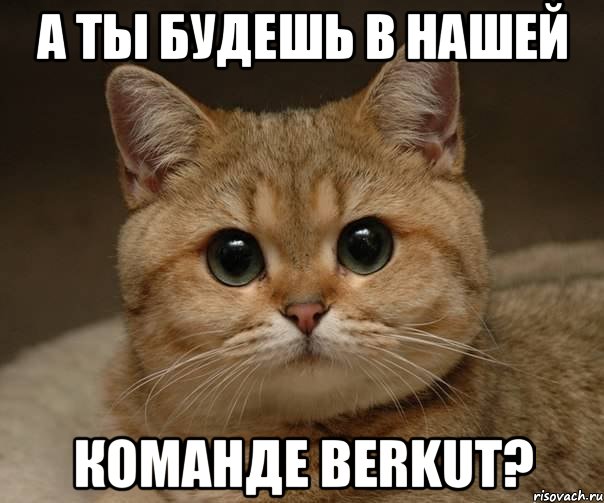 А ты будешь в нашей команде BERKUT?, Мем Пидрила Ебаная