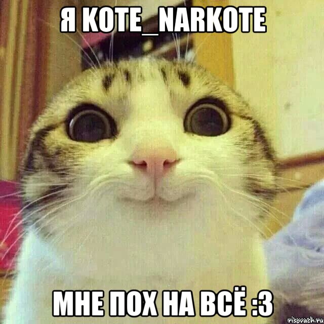 я kote_narkote мне пох на всё :3, Мем       Котяка-улыбака