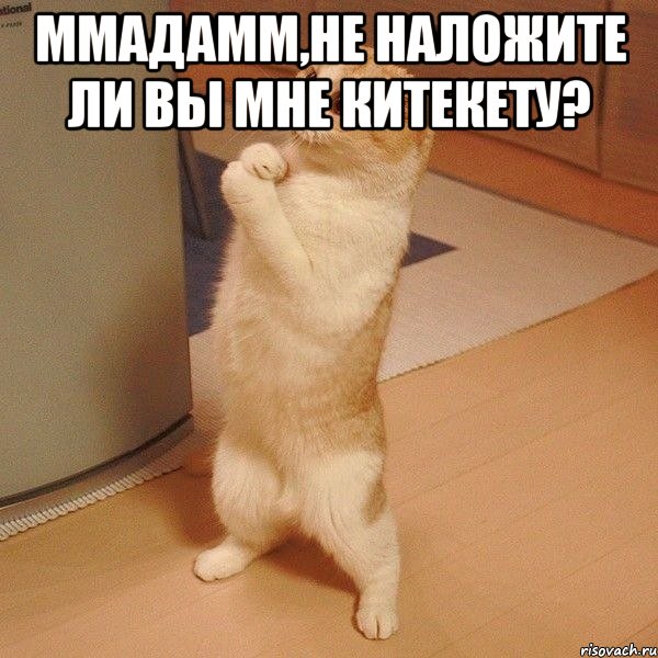 Ммадамм,не наложите ли вы мне китекету? , Мем  котэ молится