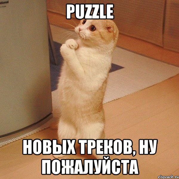 Puzzle новых треков, ну пожалуйста, Мем  котэ молится