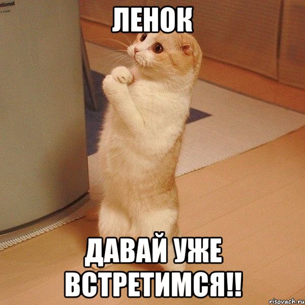 Ленок давай уже встретимся!!, Мем  котэ молится