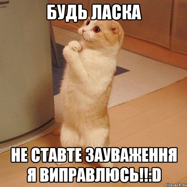 Будь ласка не ставте зауваження я виправлюсь!!:D, Мем  котэ молится