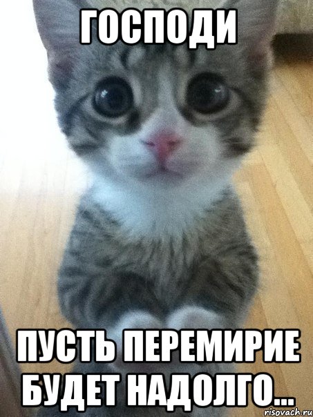 Господи Пусть перемирие будет надолго...