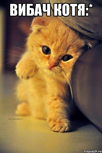 вибач котя:* 