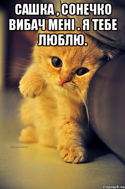 Сашка , сонечко вибач мені . Я тебе люблю. 