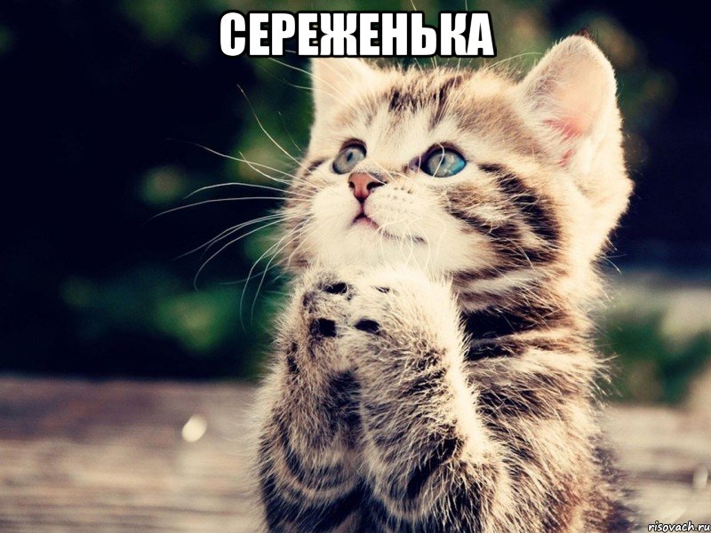 Сереженька 