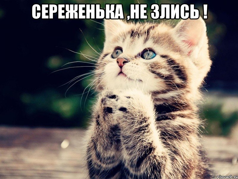 Сереженька ,не злись ! 