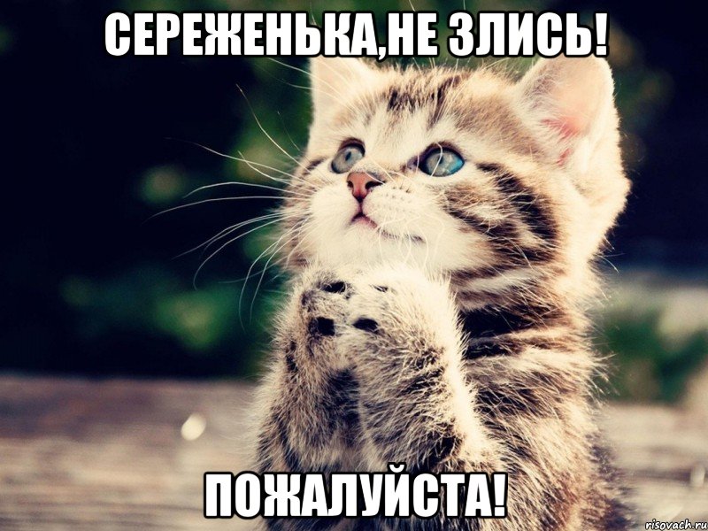 Сереженька,не злись! пожалуйста!